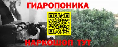 стаф Краснокаменск