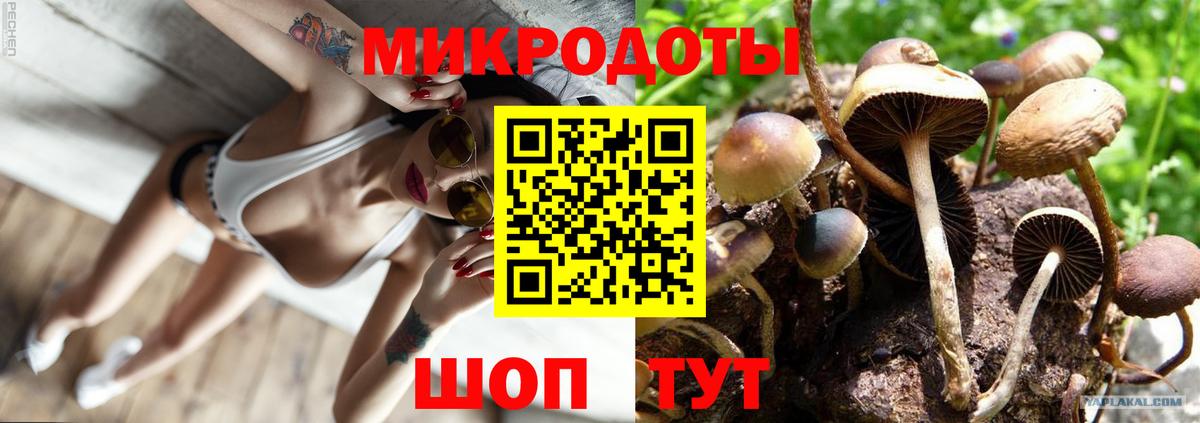 Красногорск  Псилоцибиновые грибы ЛСД  Галлюциногенные грибы Cubensis  Вход с VPN 